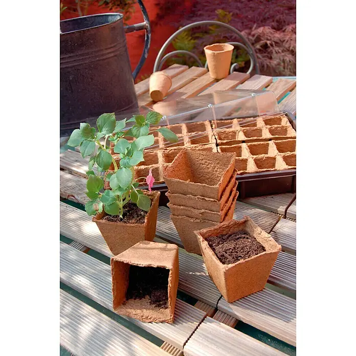 Nortene Maceta de cultivo Growing Pots - 20 ud., An x L: 6 x 6 cm, Apto para: Plantación - Primer plano de macetas de turba, algunas llenas de tierra y una con una planta, dispuestas sobre una superficie de madera, listas para jardinería.