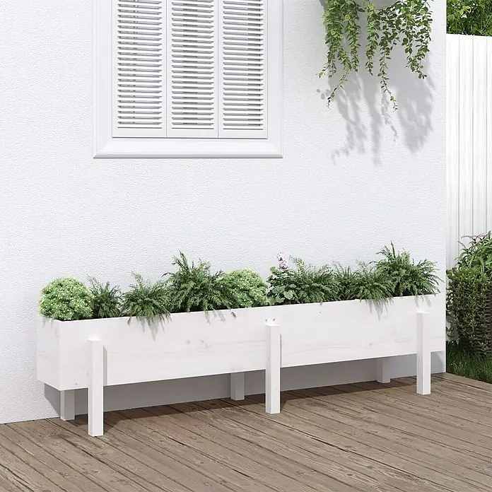 Furnicato Hochbeet - 30 x 160 x 38 cm, Holz, Weiße Kiefer - Langer, weißer Holz-Pflanzkasten, gefüllt mit grünen Pflanzen auf einer Terrasse.