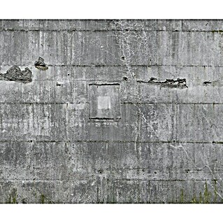 Rasch Fototapete Betonoptik (B x H: 372 x 300 cm, Vlies)