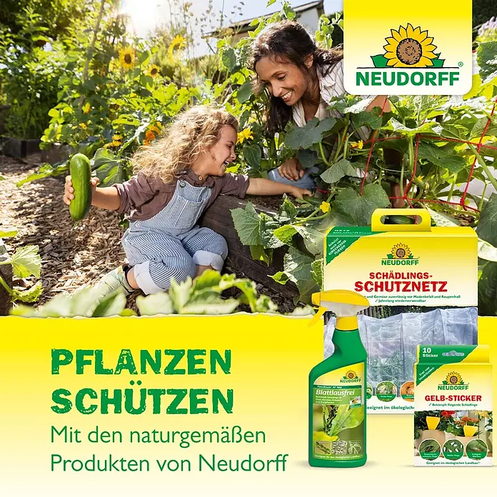 Neudorff Bestellkarte Nützlinge - Dickmaulrüssler, Max. Anwendungsfläche: 10 m² - Neudorff Pflanzenschutzprodukte: Schädlingsschutznetz, Blattlausfrei-Spray und Gelb-Sticker, präsentiert in einer Gartenumgebung.
