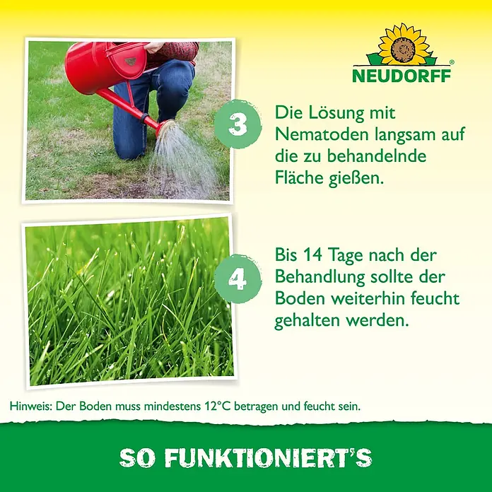 Neudorff Bestellkarte Nützlinge - Wiesenschnaken, Max. Anwendungsfläche: 20 m² - Anleitung zur Anwendung einer Nematodenlösung auf Rasen mit Gießkanne und zur Feuchthaltung des Grases.