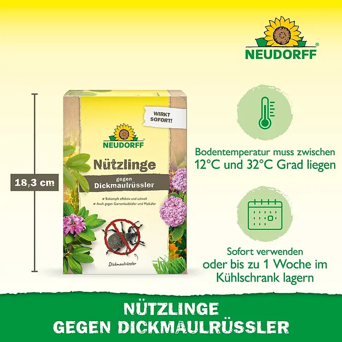 Neudorff Bestellkarte Nützlinge - Dickmaulrüssler, Max. Anwendungsfläche: 10 m² - Neudorff Nützlinge gegen Dickmaulrüssler, eine 18,3 cm hohe gelb-braune Schachtel mit Produktinfos und Sonnenblumenlogo.