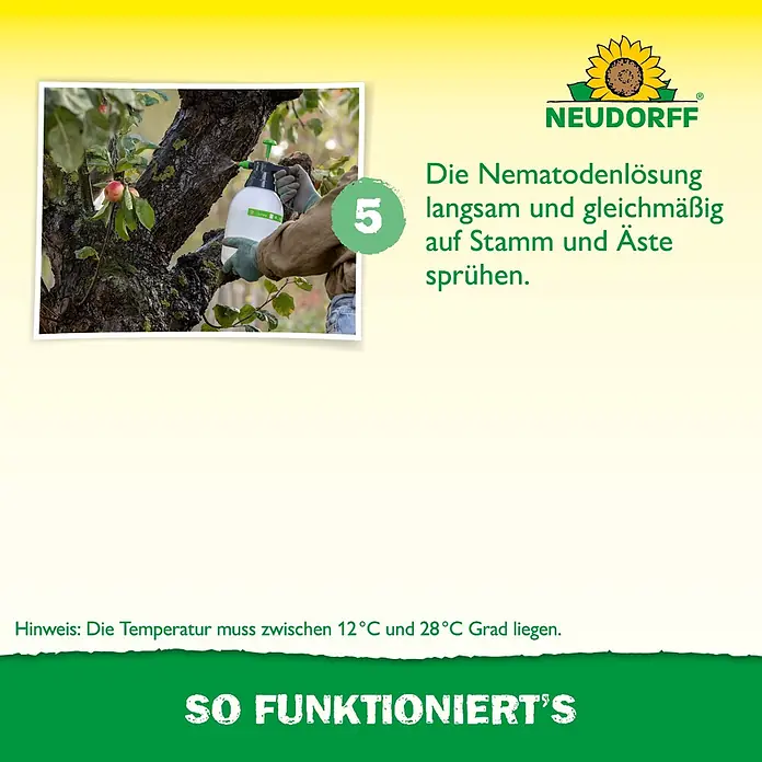 Neudorff Bestellkarte Nützlinge - Geeignet für: Apfelwickler - Eine Person sprüht langsam und gleichmäßig Nematodenlösung auf Stamm und Äste eines Baumes.