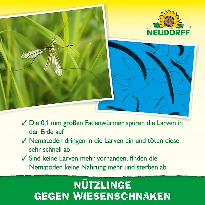 Neudorff Bestellkarte Nützlinge - Wiesenschnaken, Max. Anwendungsfläche: 20 m² - Neudorffs Nützlinge (Nematoden) gegen Wiesenschnakenlarven, mit Wiesenschnake und Nematoden.