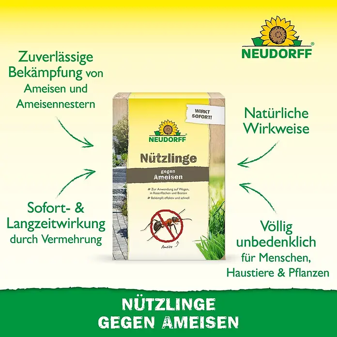 Neudorff Bestellkarte Nützlinge - Passend für: Bis zu 10 Ameisennester - Neudorff Nützlinge gegen Ameisen Packung mit Ameisenbild, bewirbt natürliche, effektive und sichere Ameisenbekämpfung für Mensch, Tier, Pflanze.