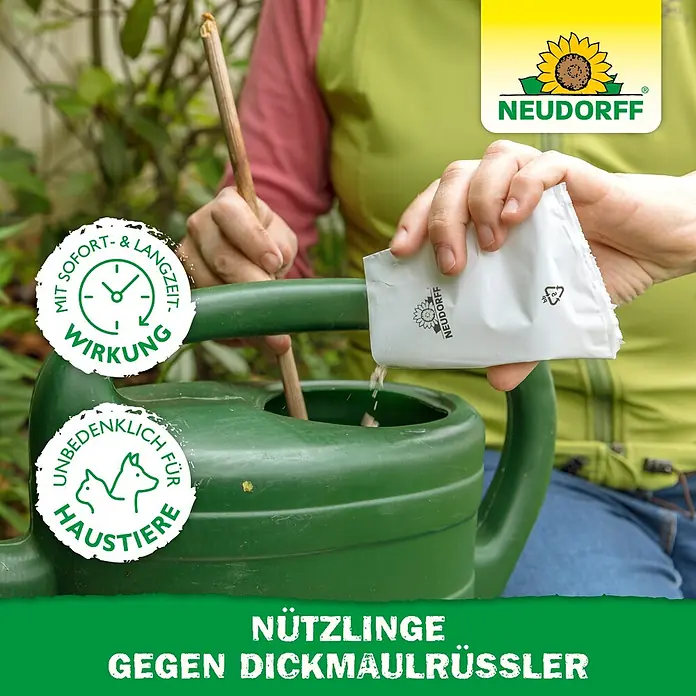 Neudorff Bestellkarte Nützlinge - Dickmaulrüssler, Max. Anwendungsfläche: 10 m² - Person gießt NEUDORFF Nützlinge aus einem Beutel in eine Gießkanne zur Dickmaulrüsslerbekämpfung. Haustiersicher, mit Sofort- & Langzeitwirkung.