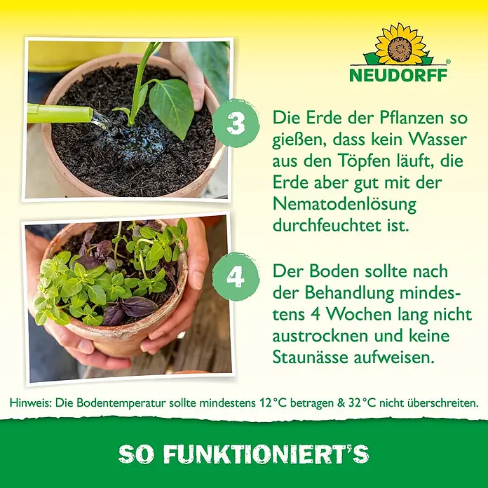 Neudorff Bestellkarte Nützlinge - Trauermücken, Ausreichend für bis zu 50 Pflanzen - Anleitungen zum Gießen von Topfpflanzen mit Nematodenlösung zur Pflanzenpflege, einschließlich der Bodenbedingungen nach der Behandlung.
