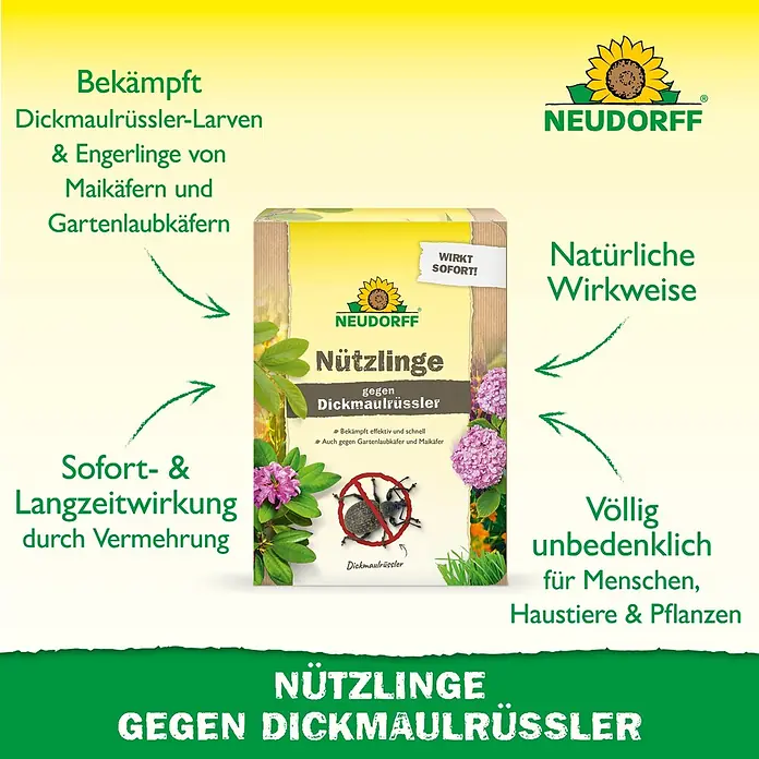Neudorff Bestellkarte Nützlinge - Dickmaulrüssler, Max. Anwendungsfläche: 10 m² - NEUDORFF Nützlinge gegen Dickmaulrüssler. Produktverpackung mit Sonnenblumenlogo, zeigt natürliche, schnell wirkende Schädlingsbekämpfung, sicher für Mensch, Tier & Pflanze.