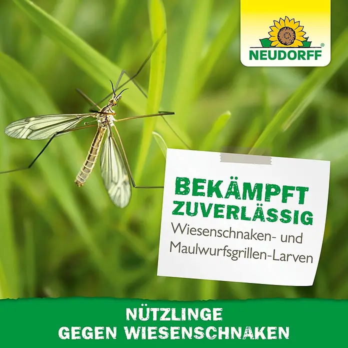 Neudorff Bestellkarte Nützlinge - Wiesenschnaken, Max. Anwendungsfläche: 20 m² - Neudorff-Produkt: Nützlinge bekämpfen zuverlässig Wiesen- & Maulwurfsgrillen-Larven.