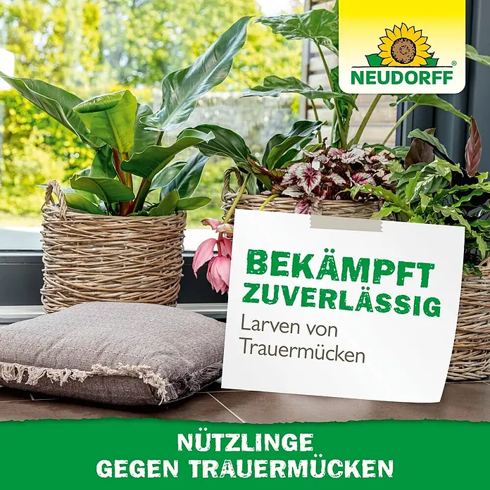 Neudorff Bestellkarte Nützlinge - Trauermücken, Ausreichend für bis zu 50 Pflanzen - Neudorff Etikett für Nützlinge gegen Trauermückenlarven, platziert zwischen Zimmerpflanzen.