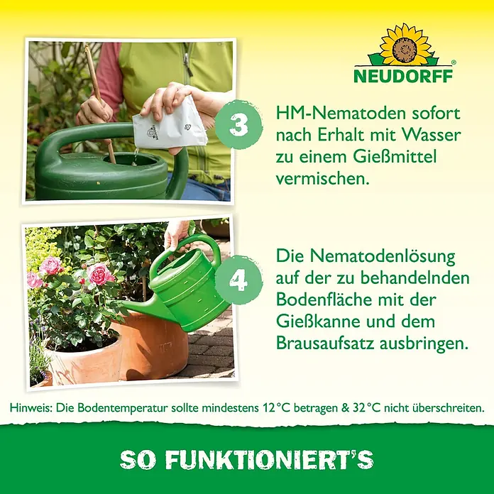 Neudorff Bestellkarte Nützlinge - Dickmaulrüssler, Max. Anwendungsfläche: 10 m² - Anleitung zur Nematodenanwendung: Mischen in Gießkanne und Ausbringen mit Brauseaufsatz auf Pflanzen.