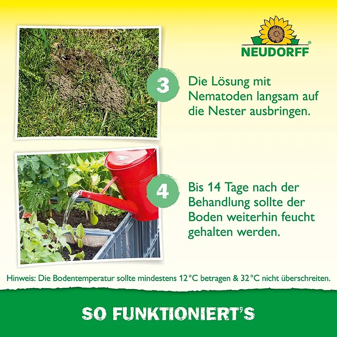 Neudorff Bestellkarte Nützlinge - Passend für: Bis zu 10 Ameisennester - Neudorff Anleitung zeigt Anwendung von Nematodenlösung auf Nestern, feuchtem Boden und Temperaturgrenzen.