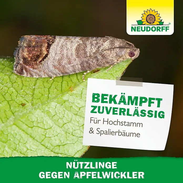 Neudorff Bestellkarte Nützlinge - Geeignet für: Apfelwickler - Neudorff: Apfelwickler auf grünem Blatt, bewirbt Nützlinge zur zuverlässigen Bekämpfung an Hochstamm- & Spalierbäumen.