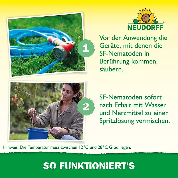 Neudorff Bestellkarte Nützlinge - Geeignet für: Apfelwickler - Anleitung für die Anwendung von SF-Nematoden: Reinigen von Geräten und Mischen der Lösung mit Wasser und Netzmittel.