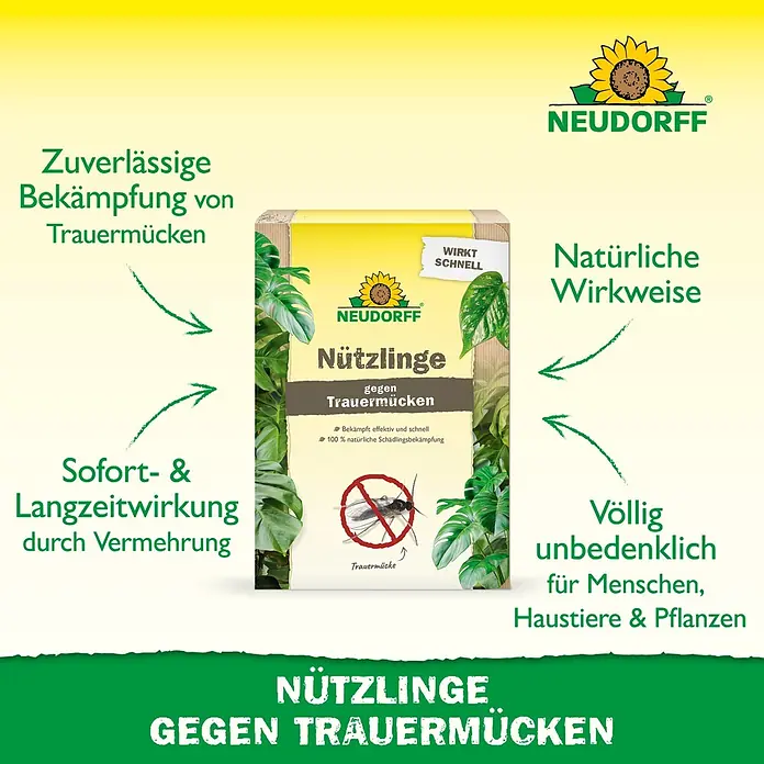 Neudorff Bestellkarte Nützlinge - Trauermücken, Ausreichend für bis zu 50 Pflanzen - Neudorff Nützlinge Verpackung zur zuverlässigen und natürlichen Trauermückenbekämpfung, sicher für Mensch, Tier und Pflanze.