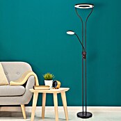 Globo Lámpara de pie LED Lila (20 W, Negro, Blanco cálido, L x An x Al: 35 x 30 x 194 cm) | BAUHAUS