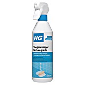 HG Voegenreiniger (500 ml) | BAUHAUS