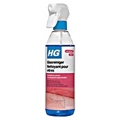 HG Glasreiniger (500 ml) | BAUHAUS