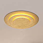 Globo Okrugla stropna LED svjetiljka Heda  (40 W, Ø x V: 49 x 4,7 cm, Zlatna) | BAUHAUS