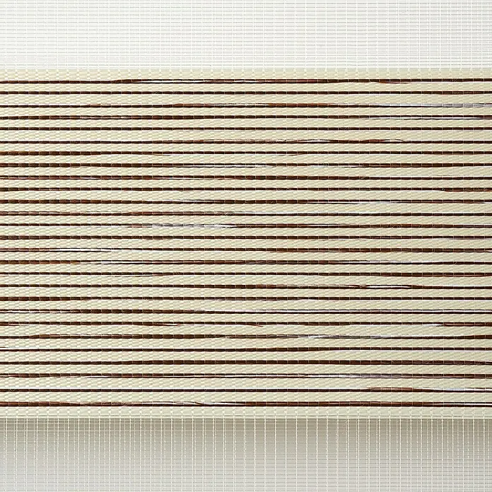 Estor noche y día Platinum - An x Al: 160 x 250 cm, Beige - Primer plano de un estor enrollable con franjas alternas opacas y traslúcidas en tonos beige y marrón.