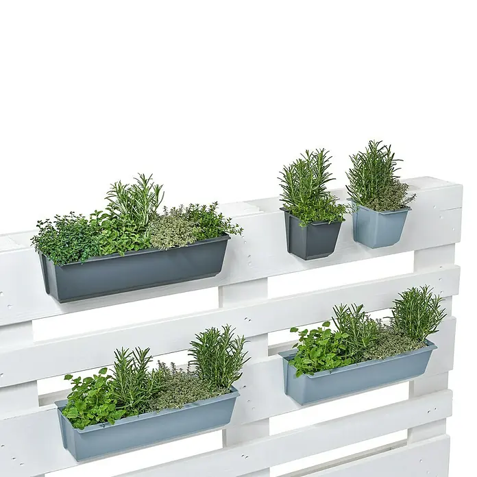 Geli Pflanzkasten-Einsatz Easy - Außenmaß (L x B x H): 37 x 10 x 10 cm, Kunststoff, Anthrazit - Wandhalterung für Kräutertöpfe mit frischen Kräutern an einer weißen Holzwand. Praktische und dekorative Lösung für den Kräutergarten.
