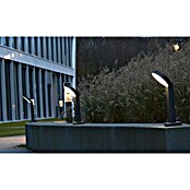 Lutec Baliza exterior LED Meridian (Gris oscuro, Altura: 58 cm, IP54)