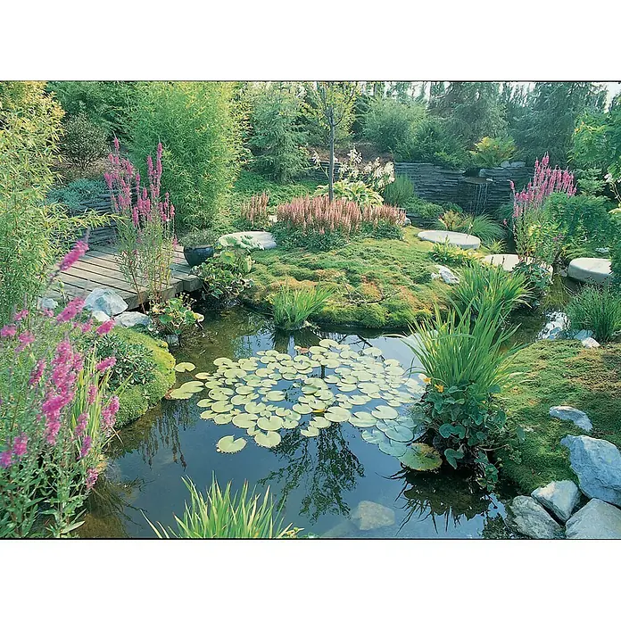 Ubbink Kautschuk-Teichfolie AquaFlexiLiner - Stärke: 0,6 mm, L x B: 5 x 5,05 m - Idyllischer Gartenteich mit Seerosen, umgeben von üppiger Vegetation und einem kleinen Holzsteg, der zum Verweilen einlädt.