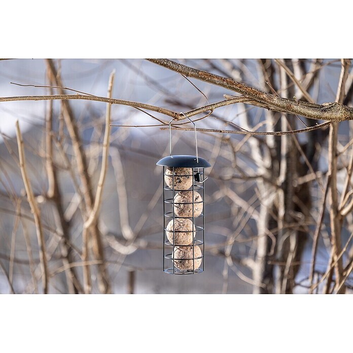 Windhager Vogelhaus Joy (Metall, Anthrazit) | BAUHAUS