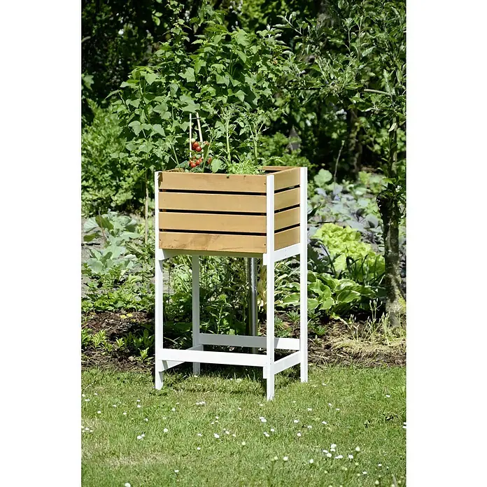 Dobar Hochbeet - 49 x 42 x 90 cm, Holz, Braun - Ein erhöhter Pflanzkasten aus Holz mit weißem Rahmen steht im Garten und beherbergt Tomatenpflanzen, die an Stäben befestigt sind.