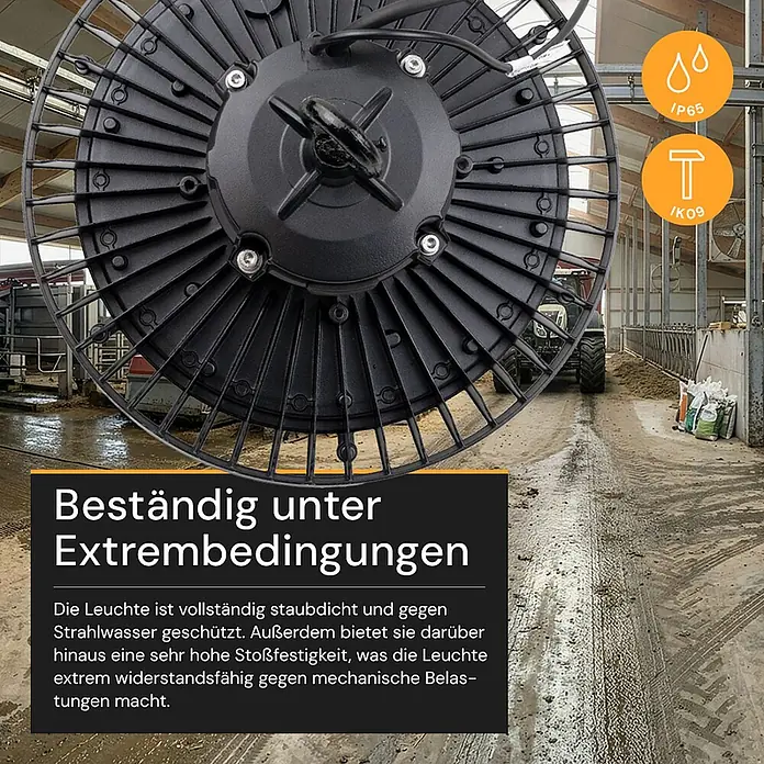 Enovalite LED-Strahler LED-Hallenstrahler - 100 W, 17.000 lm, 5.000 K, IP65 - Schwarze Industrielampe (IP65, IK09) für Extrembedingungen, in Stallumgebung. Staubdicht, strahlwasser- und stoßfest.