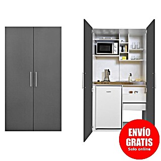Respekta Cocina en armario Peter (Ancho: 104 cm, Gris, Placa de cocina doble y microondas)