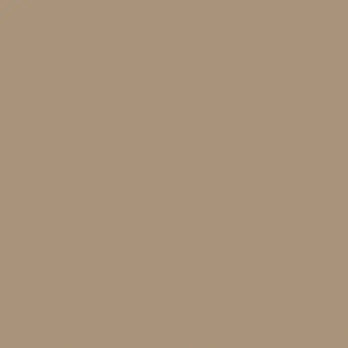 SCHÖNER WOHNEN-Farbe Wandfarbe Designfarbe - Warmes Erdbraun, Matt, 2,5 l, Konservierungsmittelfrei - Schlichte, einfarbige Grafik in einem neutralen Beigeton, ideal für Hintergründe oder minimalistische Designs, die Ruhe ausstrahlen.