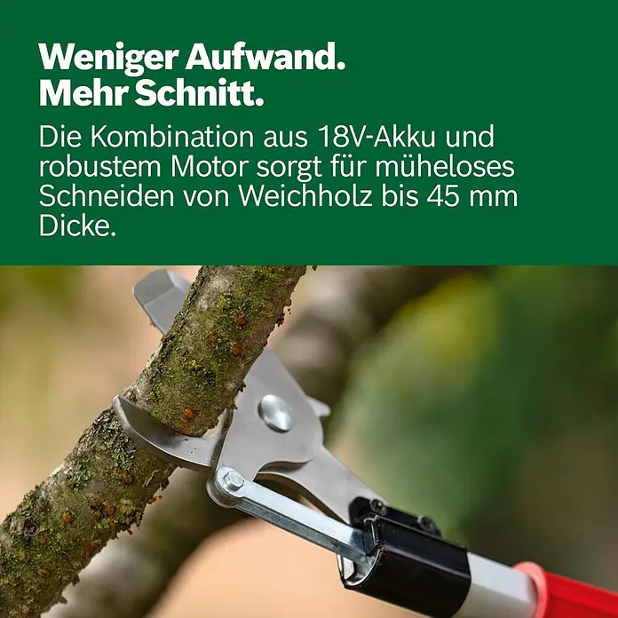 Bosch Power for All 18V Akku-Gartenschere AdvancedPrune 18V-45 mit Verlängerungsstange - 18 V, Li-Ionen, Ohne Akku, Max. Aststärke: 45 mm - Elektische Astschere schneidet mühelos einen dicken Ast.