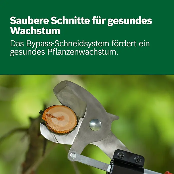 Bosch Power for All 18V Akku-Gartenschere AdvancedPrune 18V-45 mit Verlängerungsstange - 18 V, Li-Ionen, Ohne Akku, Max. Aststärke: 45 mm - Bypass-Gartenschere mit Metallklingen schneidet Ast sauber ab, fördert gesundes Pflanzenwachstum.