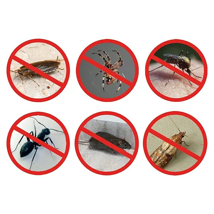 Insektenvernichter Pest Reject Pro - Wirkungsbereich: 300 m², 3,2 W, Kunststoff - Das Bild zeigt eine Reihe von sechs verschiedenen Schädlingen, die in einem roten Kreis mit einem roten Strich durchgestrichen sind.