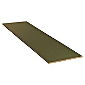 Spaanplaat Vochtwerend 2440 x 610 x 18 mm (244 cm x 61 cm x 18 mm) | BAUHAUS