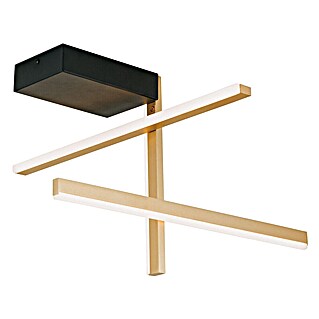 Orion Leuchten LED-Deckenleuchte (L x B x H: 50 x 50 x 30 cm)