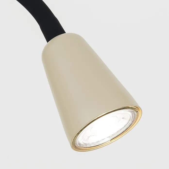 Orion Leuchten Stehleuchte - 30 W, Höhe: 148 cm, GU10 - Beiger Lampenkopf mit beleuchtetem Licht, goldener Umrandung und schwarzem Flexarm.