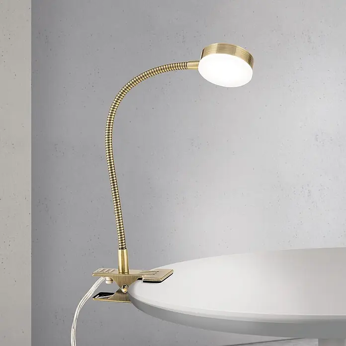 Orion Leuchten LED-Klemmleuchte - L x B x H: 5,5 x 5,5 x 42 cm, 3 W, Lichtfarbe: Kaltweiß - Messingfarbene LED-Klemmleuchte mit flexiblem Schwanenhals, an weißem Tisch geklemmt. Leuchtkopf beleuchtet.
