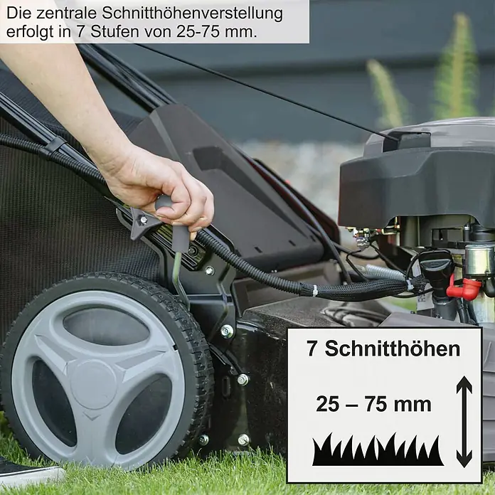 Scheppach Benzin-Rasenmäher PML530-225E - 4,4 kW, 224 cm³, Schnittbreite: 53 cm - Nahaufnahme einer Hand, die den zentralen Schnitthöhenhebel eines Rasenmähers verstellt, mit 7 Einstellungen von 25-75 mm.