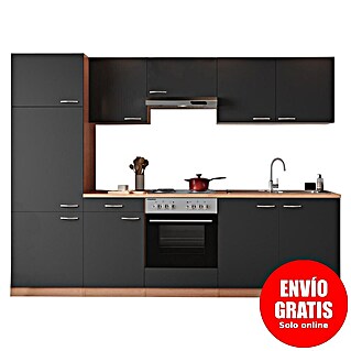 Respekta Composición de cocina Gerda (Ancho: 270 cm, Gris, Con electrodomésticos, Volumen horno: 60 l)