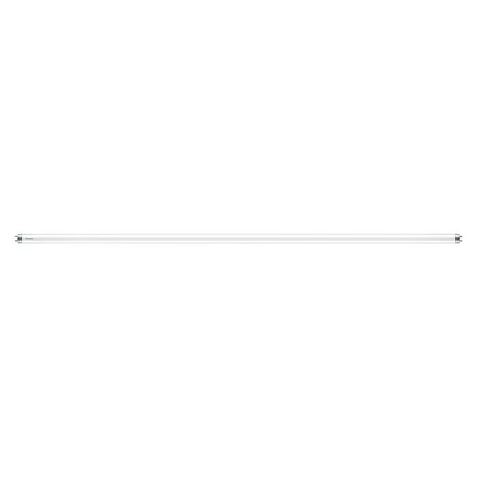 Philips LED Leuchtstoffröhre T8 - Länge: 60,25 cm, Neutralweiß, 8 W, 800 lm - Lineare LED- oder Leuchtstoffröhre mit klarem Glas und silbernen Enden.