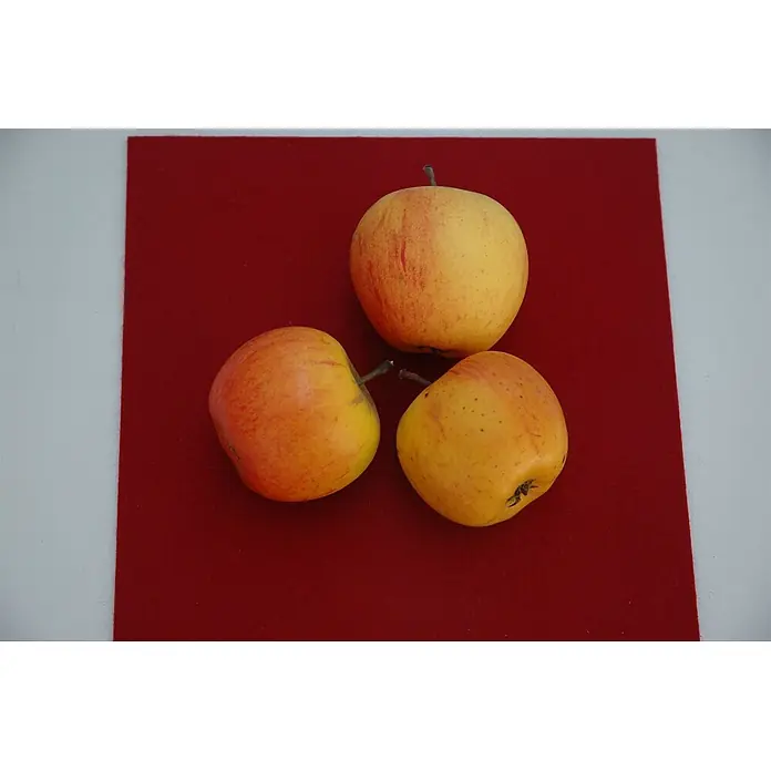 Pflanzen für dich Apfelbaum 150-200cm -  - Drei gelb-rote Äpfel auf einer roten Filzoberfläche.