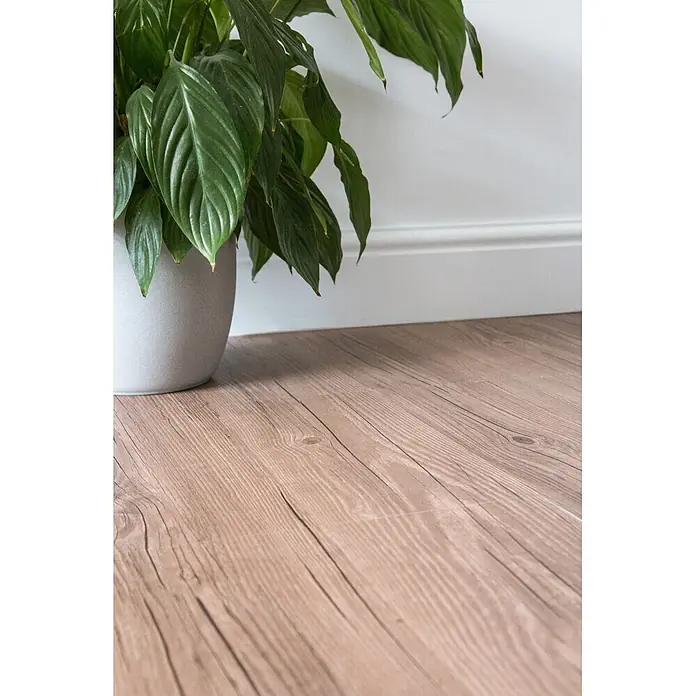 D-c-fix Bodenfliese Floor Tile Selbstklebend - 11 Stk., 30,5 x 30,5 cm, Dark Oak - Eine grüne Pflanze in einem hellgrauen Topf auf hellem Holzboden.