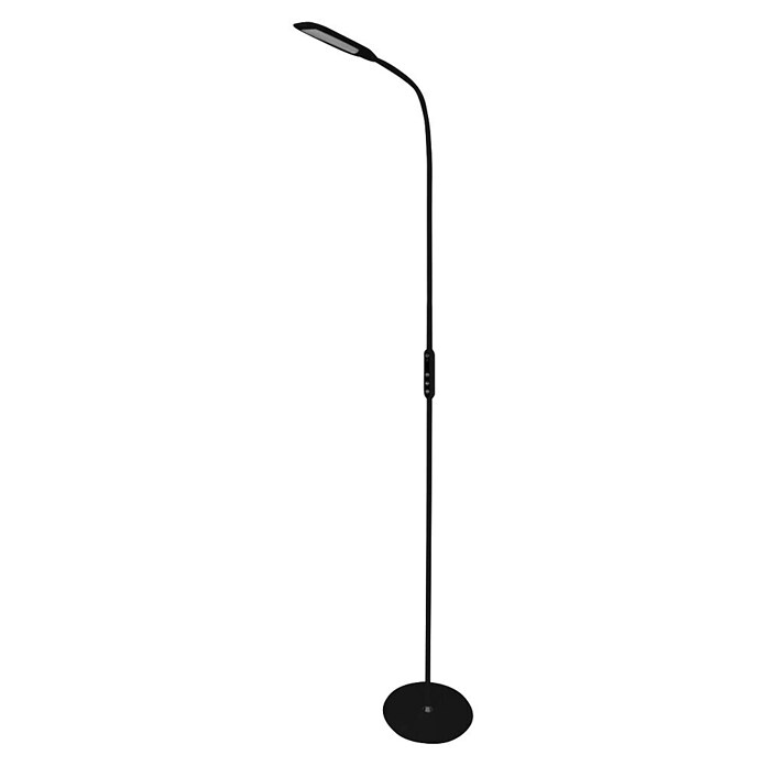 LED reflektorji  (9 W, Višina: 22 cm, Črne barve) | 3045 - Stehleuchten | CACI - Stehleuchten | CAC - Indoorleuchten | CA - Beleuchtung | C - Elektro | BAUHAUS