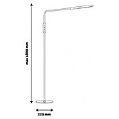 LED reflektorji  (9 W, Višina: 22 cm, Črne barve) | 3045 - Stehleuchten | CACI - Stehleuchten | CAC - Indoorleuchten | CA - Beleuchtung | C - Elektro | BAUHAUS