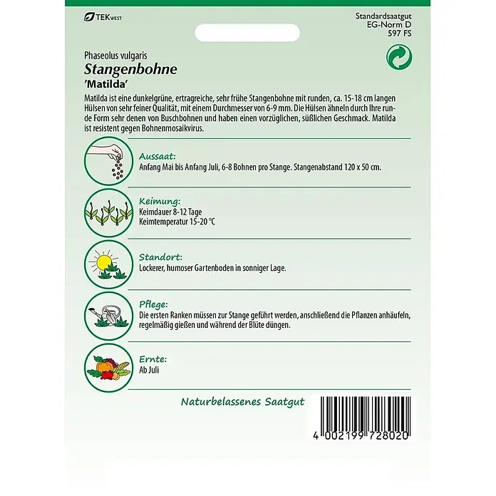 Samen Pfann Saatgut Stangenbohne, Matilda - Phaseolus vulgaris, 6,2 g - Grüne Samentüte für Stangenbohnen 'Matilda' mit Pflanzanleitung und Produktinformationen.