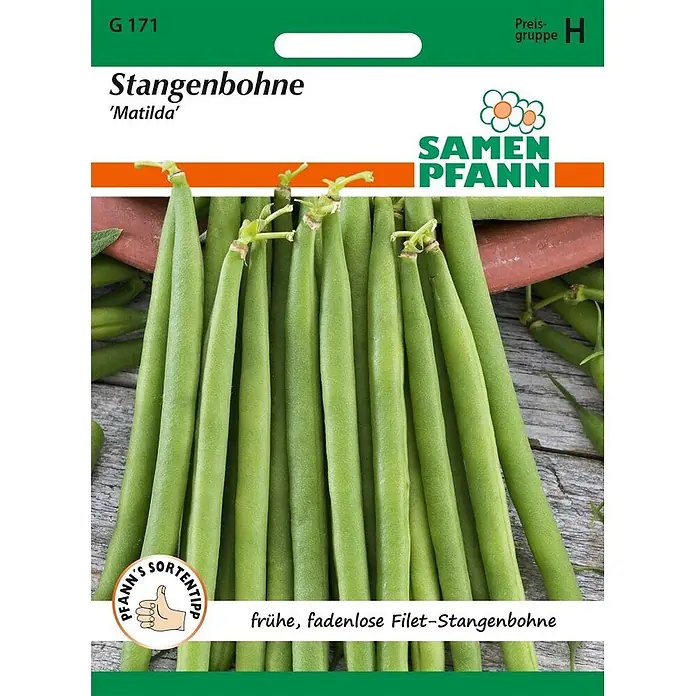 Samen Pfann Saatgut Stangenbohne, Matilda - Phaseolus vulgaris, 6,2 g - Samenpäckchen für Stangenbohne 'Matilda', frühe, fadenlose Filetbohne, mit Bild von grünen Bohnen.