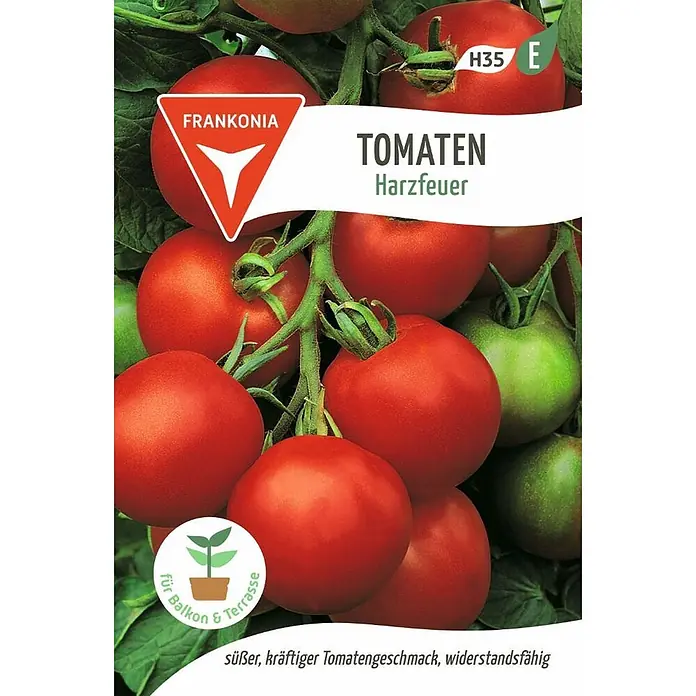 Frankonia Samen Saatgut Stabtomate, Harzfeuer F1 - Solanum lycopersicum - Rote und grüne Harzfeuer Tomaten am Strauch. Süßer, kräftiger Geschmack, widerstandsfähig, ideal für Balkon & Terrasse.