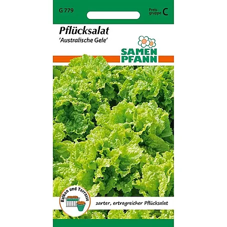 Samen Pfann  Saatgut Pflücksalat, Australischer gelber